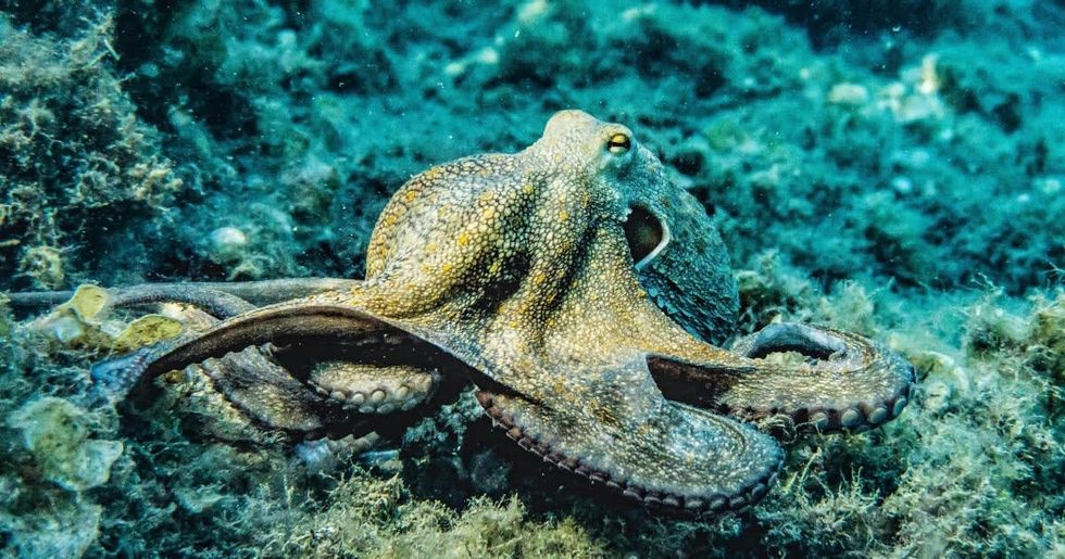 Representative Cover Image Source: Pexels I Photo by Pia B