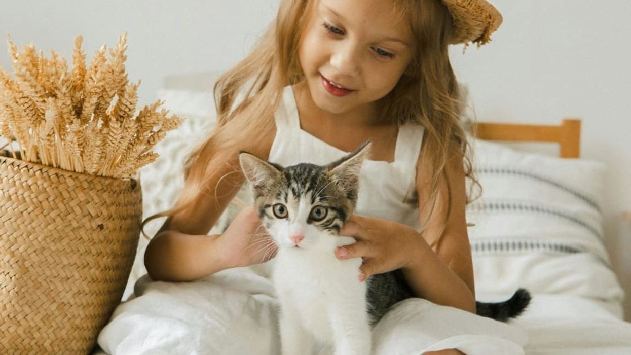 Girl's hilarious 'pros of getting a cat' presentation to parents even impresses Microsoft