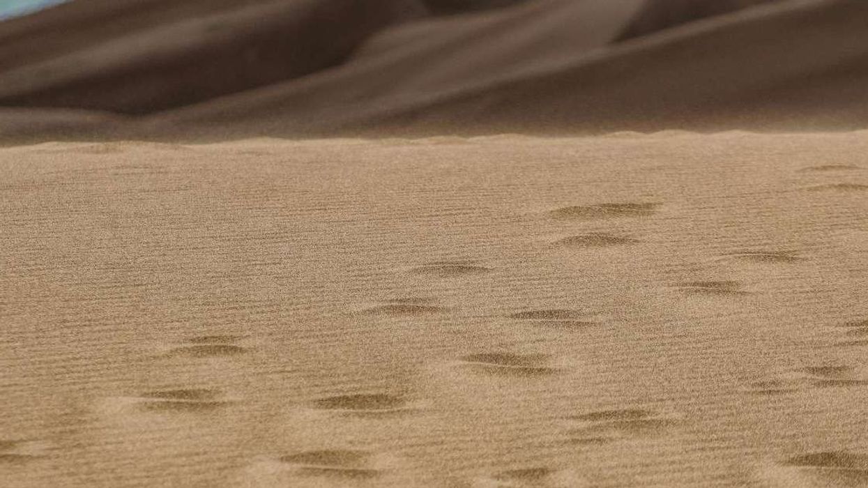 Scientists baffled by mysterious 'fairy circles' found at hundreds of sites across the world