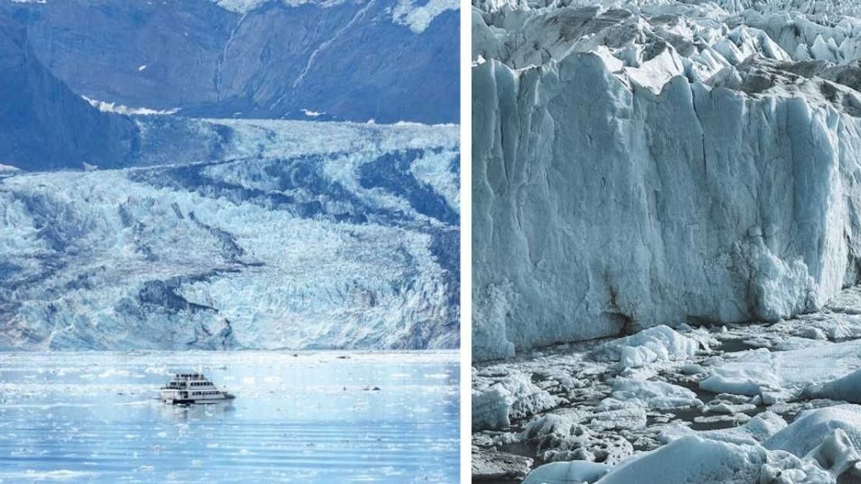 Mysterious 400 feet 'ice ship' spotted in Antarctica on Google Earth baffles people