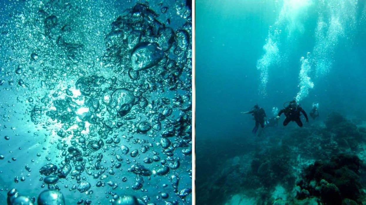 Ground-breaking discovery of 'dark oxygen' in depths of Pacific Ocean baffles scientists