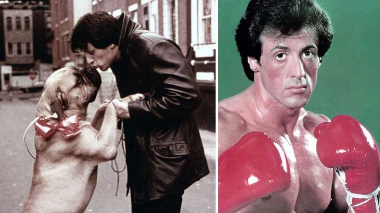 Broke Sylvester Stallone was forced to sell his dog,  he came back with his first paycheck