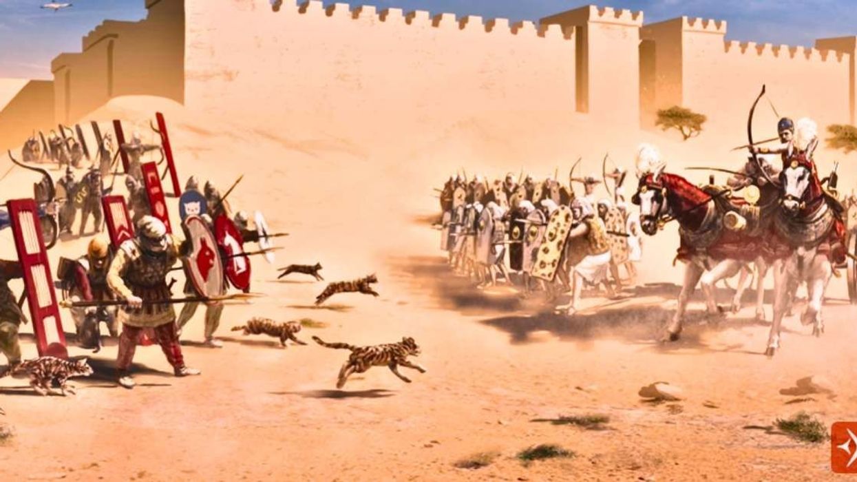 Ancient Egyptians lost a battle when Persian troops used cats against them