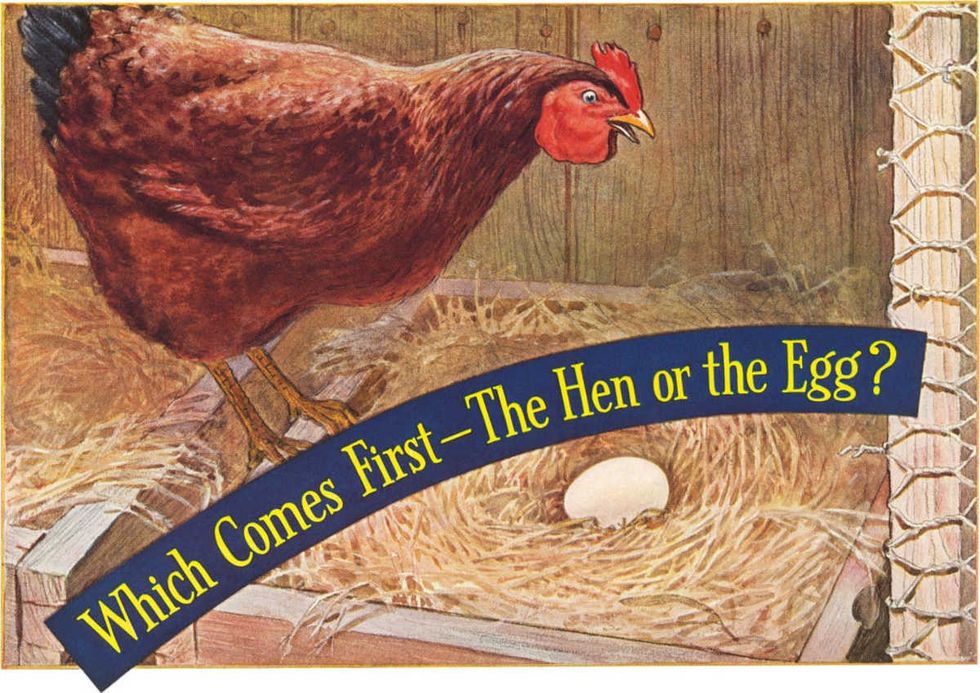 Representative Image Source: A philosophical moment in the hen house. (Photo by Found Image Holdings Inc/Getty Images)