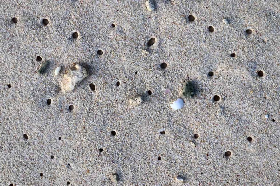 Representative Image Source: Beautiful shots of the white beach sand on the Seychelles paradise island with footprints. (Getty Images)