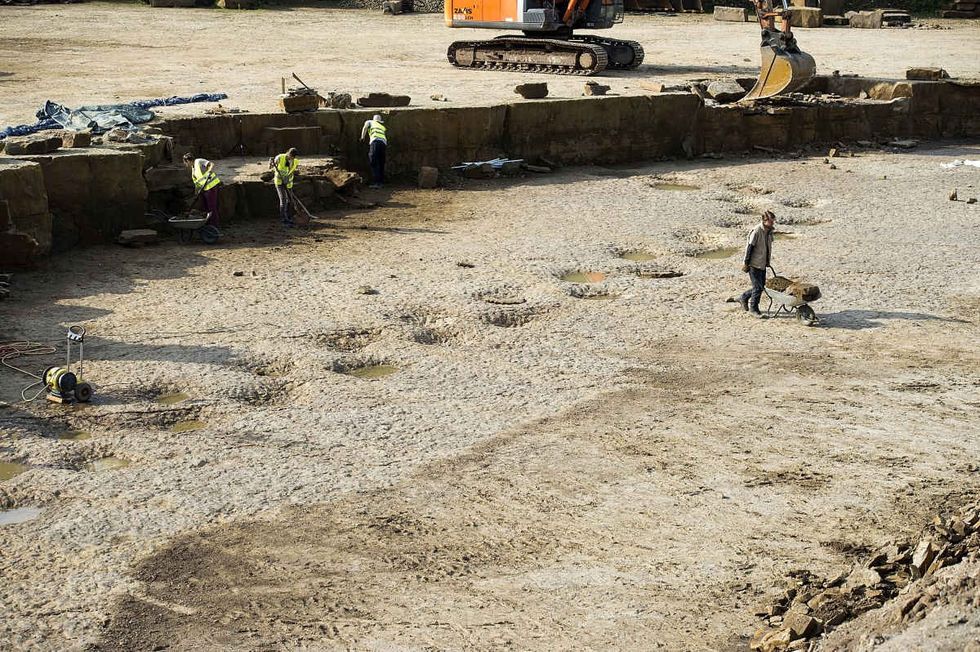 Representative Image Source: Footprints of a long-neck dinosaurs (Diplodocus), found in a quarry in Germany. (Photo by Alexander Koerner/Getty Images)
