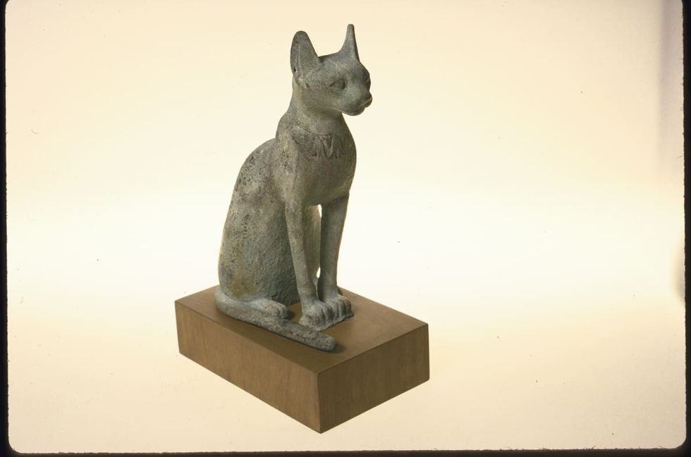 Representative Image Source: Getty Images | Photo by Bill Foley/Getty Images