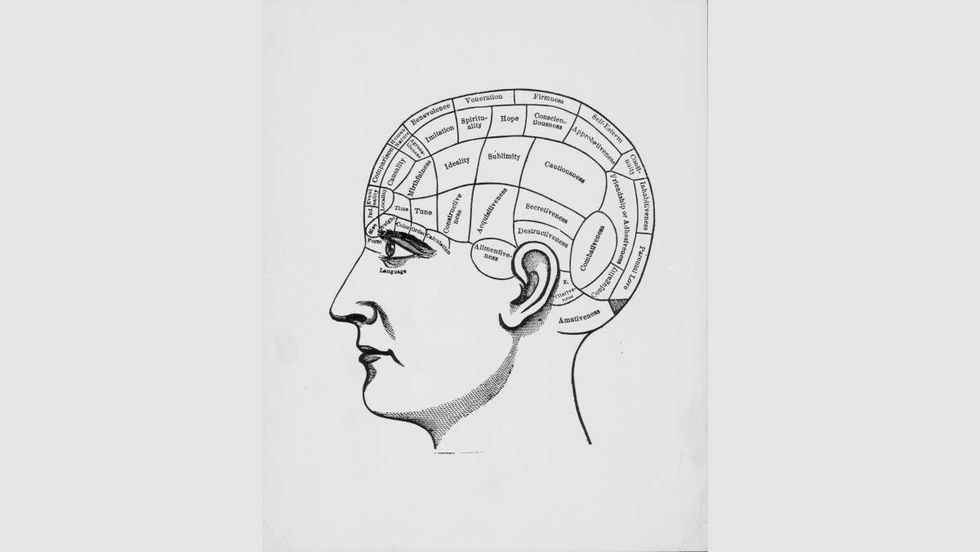 Representative Image Source: Illustration of a human cranium, depicting the sections of the brain responsible for different functions of thought including; time,hope and imitation. (Photo by Pictorial Parade/Archive Photos/Getty Images)