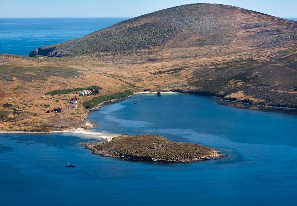 Representative Image Source: One of outer Falkland Islands. (Getty Images)