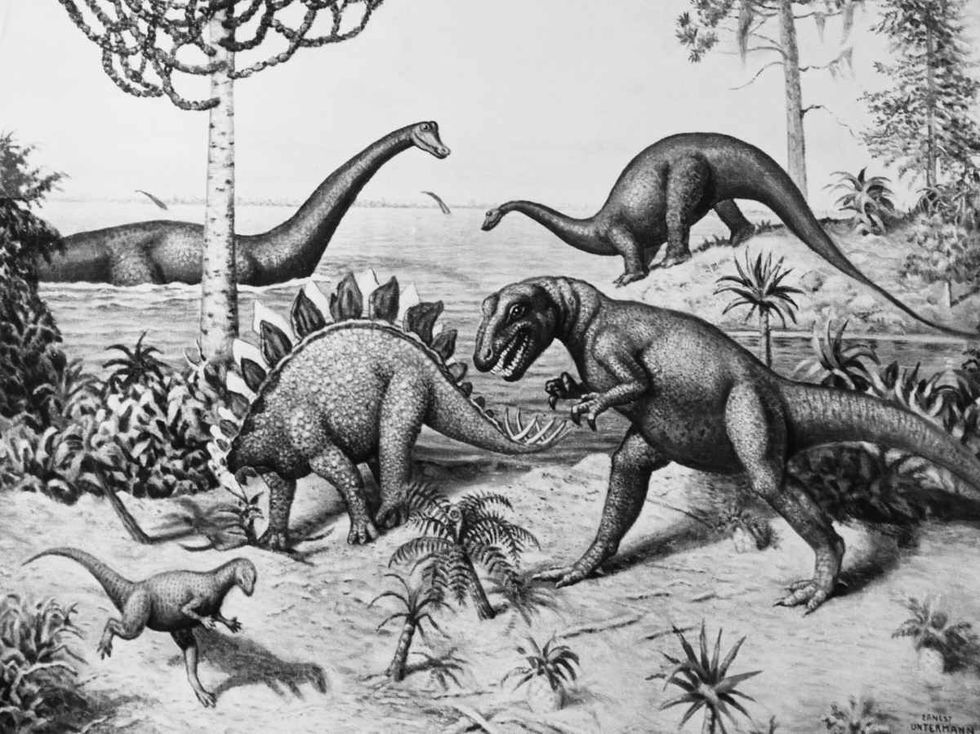 Representative Image Source: Painting from a series by Ernest Untermann in the museum at Dinosaur National Monument, Utah.