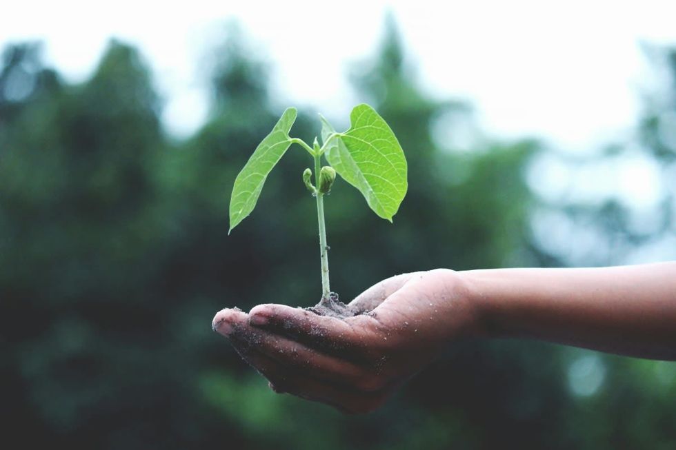 Representative Image Source: Pexels | akil mazumder