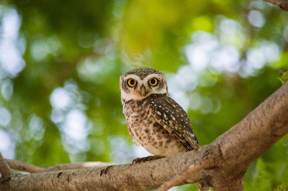 Representative Image Source: Pexels | Amoil Mande