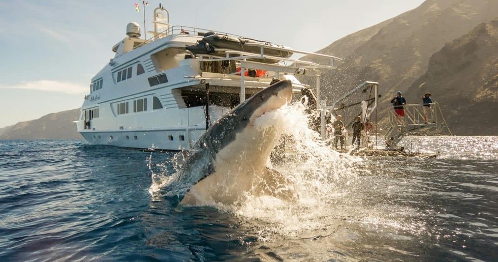 Representative Image Source: Pexels I Photo by Adil Schindler