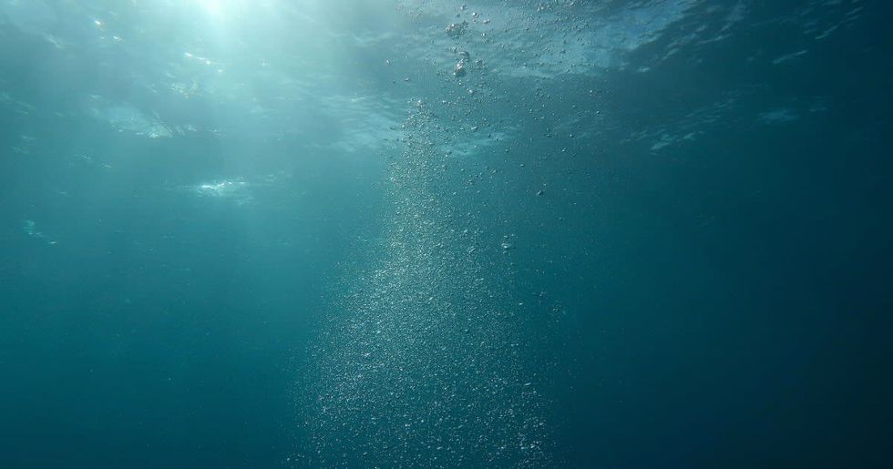 Representative Image Source : Pexels I Photo by Berend de Kort