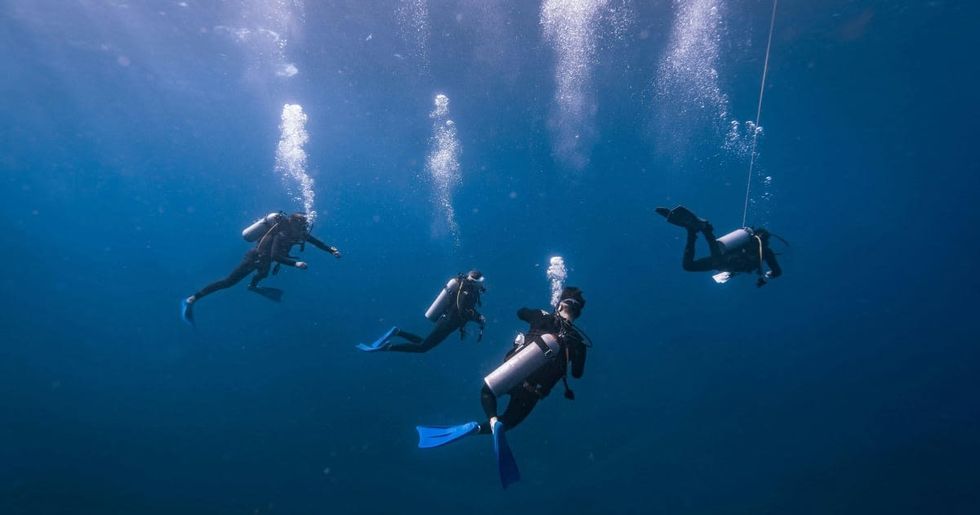 Representative Image Source: Pexels I Photo by Harvey Clements