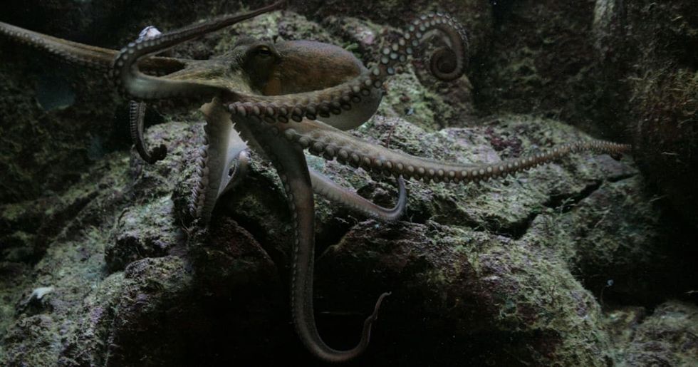 Representative Image Source: Pexels I Photo by Joachim Schnürle