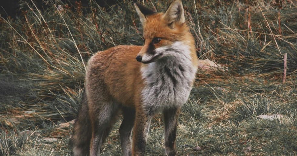 Representative Image Source: Pexels I Photo by Monicore