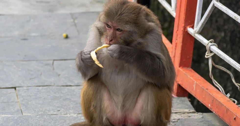 Representative Image Source: Pexels I Photo by  Rajesh S Balouria