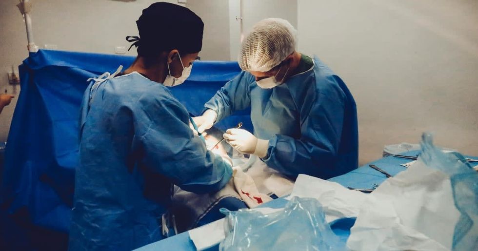 Representative Image Source: Pexels I Photo by Vidal Balielo Jr