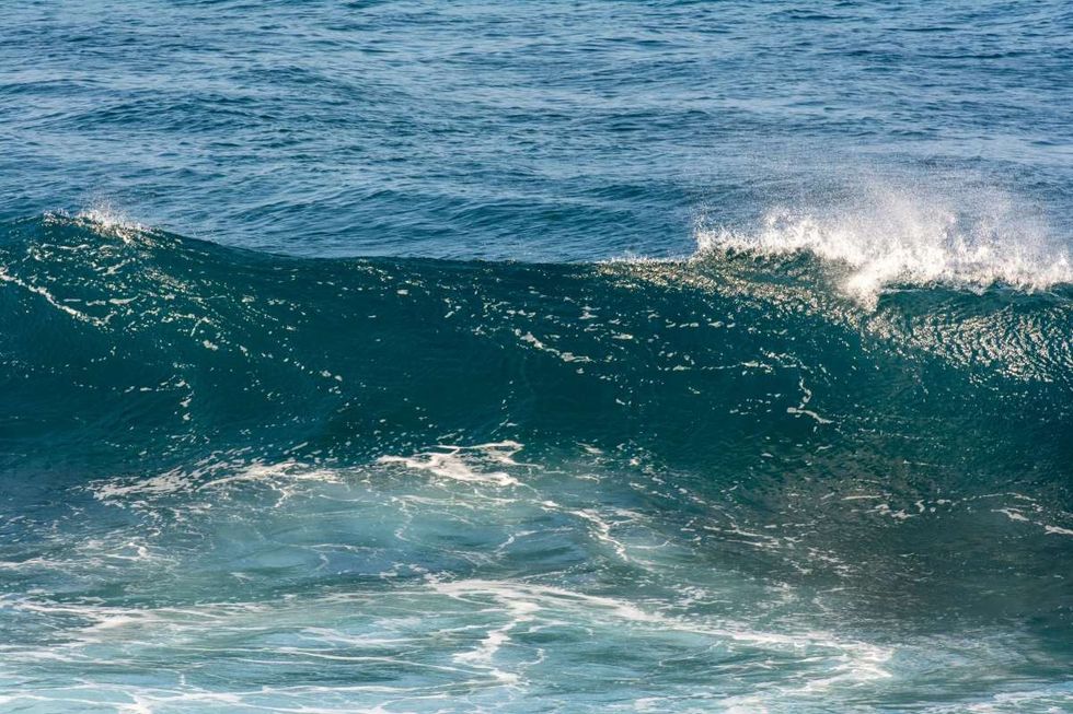 Representative Image Source: Pexels | Jan Van Der Wolf