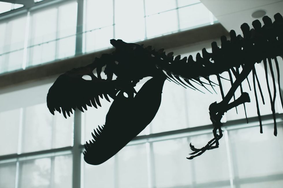 Representative Image Source: Pexels | jonathan cooper