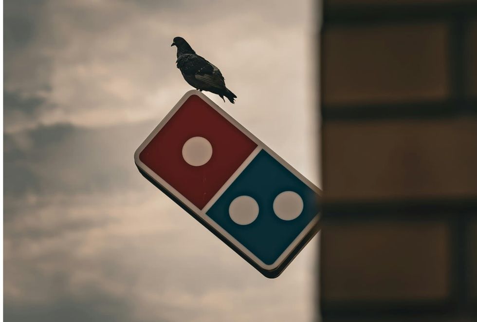 Representative Image Source: Pexels | mooodish