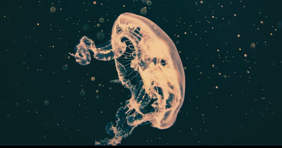 Representative Image Source: Pexels | Philipp Deus