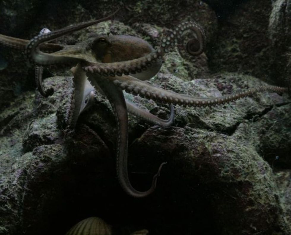 Representative Image Source: Pexels | Photo by Joachim Schnürle