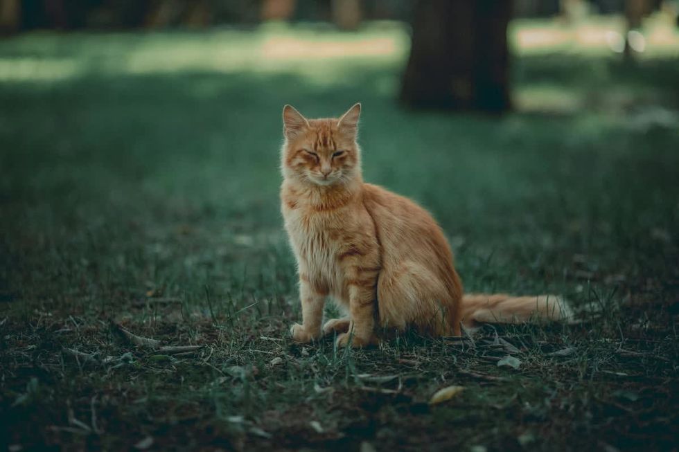 Representative Image Source: Pexels | recepcelikphoto