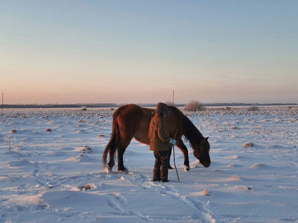 Representative Image Source: Pexels | Solar Swallow