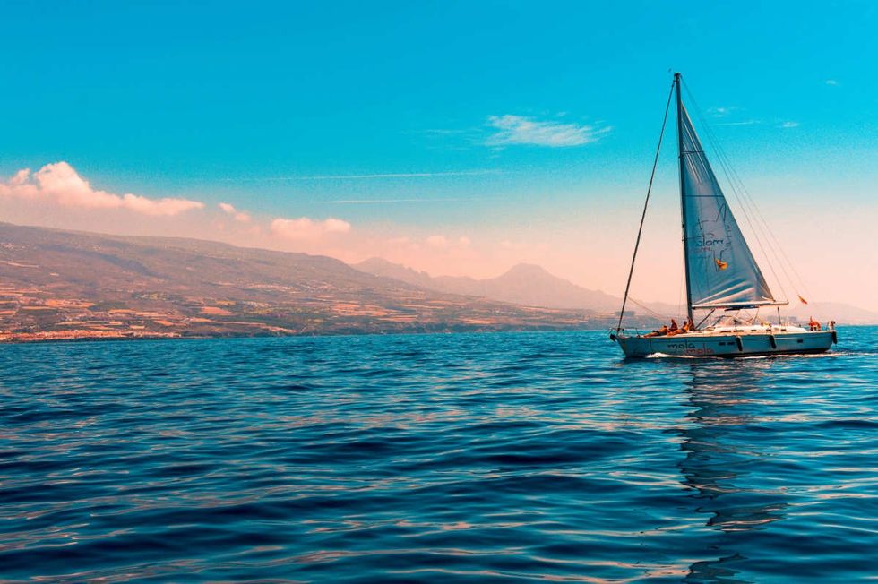 Representative Image Source: Pexels | Szelei Robert