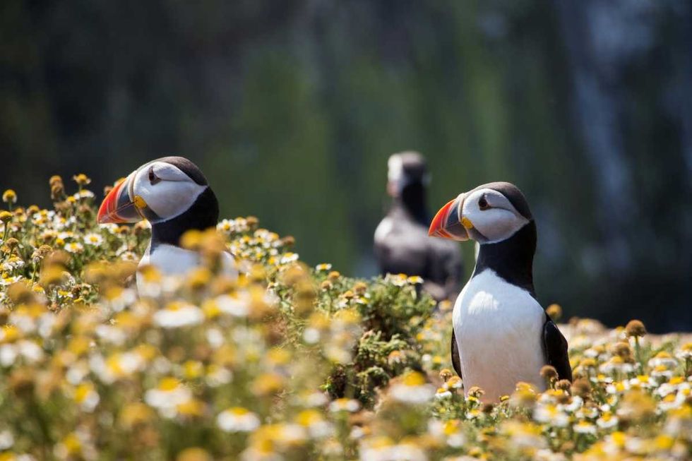 Representative Image Source: Pexels | Tim Hartelt