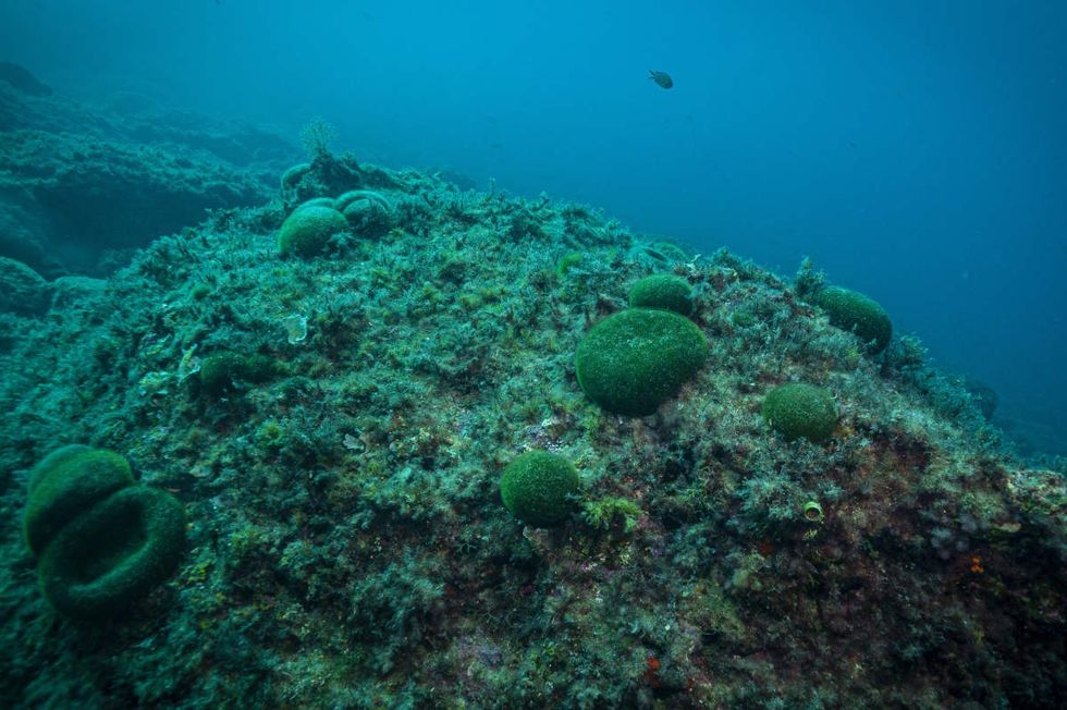 Representative Image Source: Photo by Alessandro Rota/GettyImages