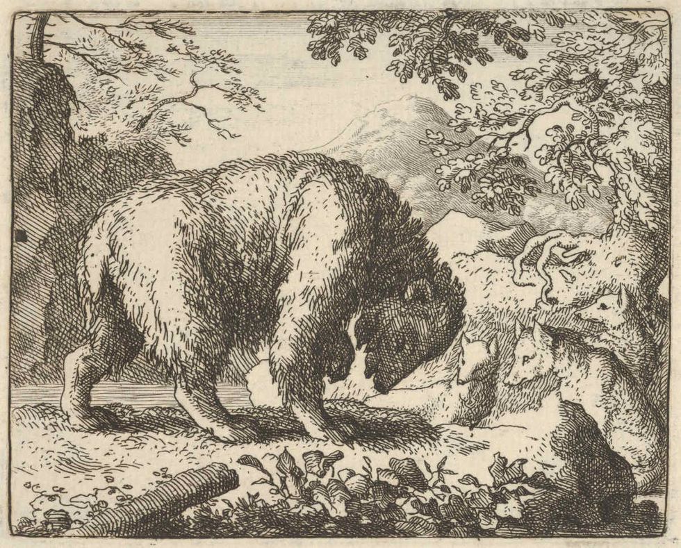Representative Image Source: Renard Promises the Bear to Take Him to a Place Where He Will Find Honey. From Hendrick van Alcmar's Renard The Fox. Artist Allart van Everdingen. (Photo by Heritage Art/Heritage Images via Getty Images)