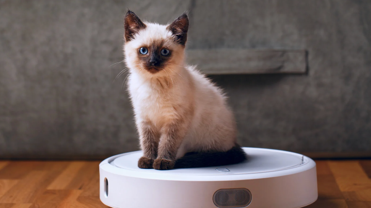 robot vacuum, invention, multi-functional gadgets, upgrades, roomba