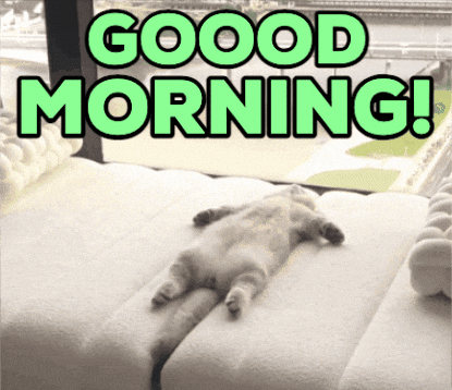 routines, pet-free time, self-care, owner habits, pet detachment, stress, security