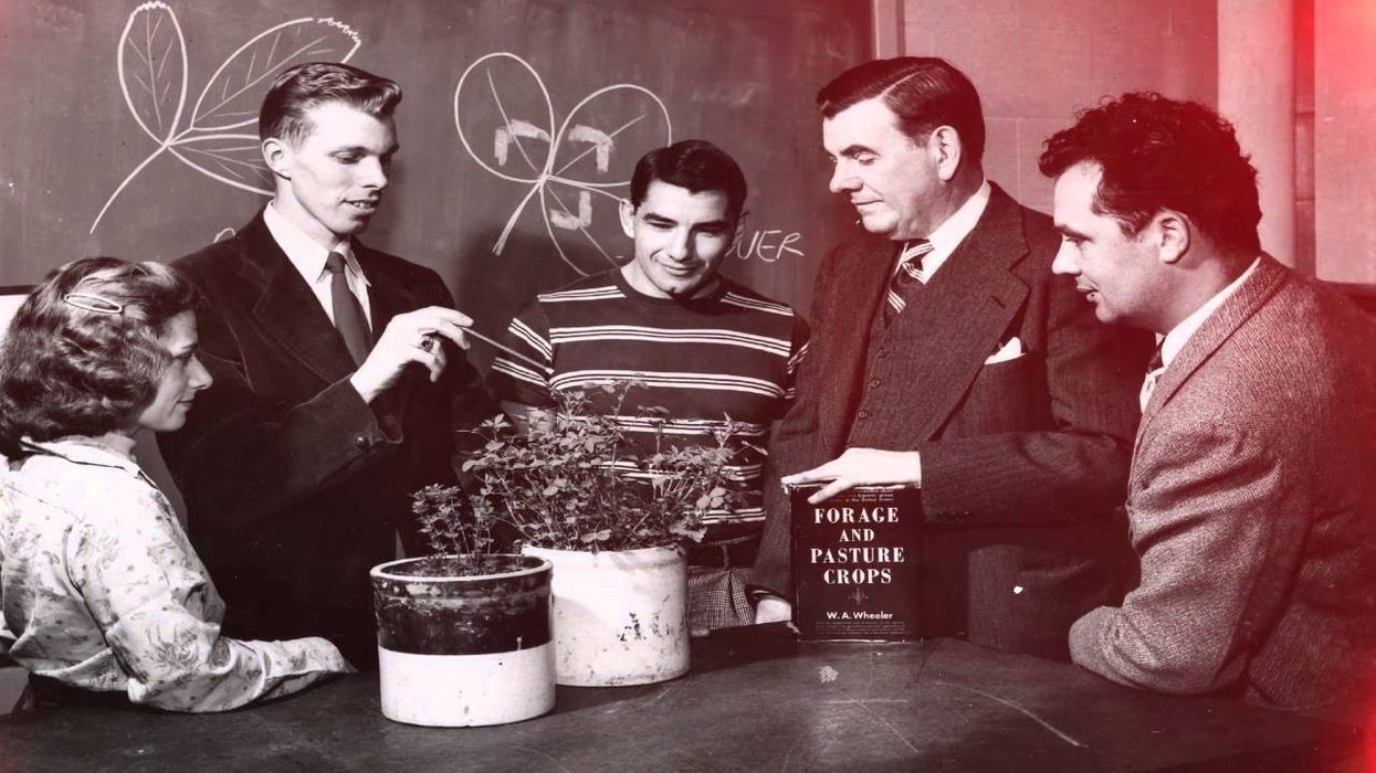 Rutgers, tomato, tomatoes, Rutgers tomato, science, agriculture, food