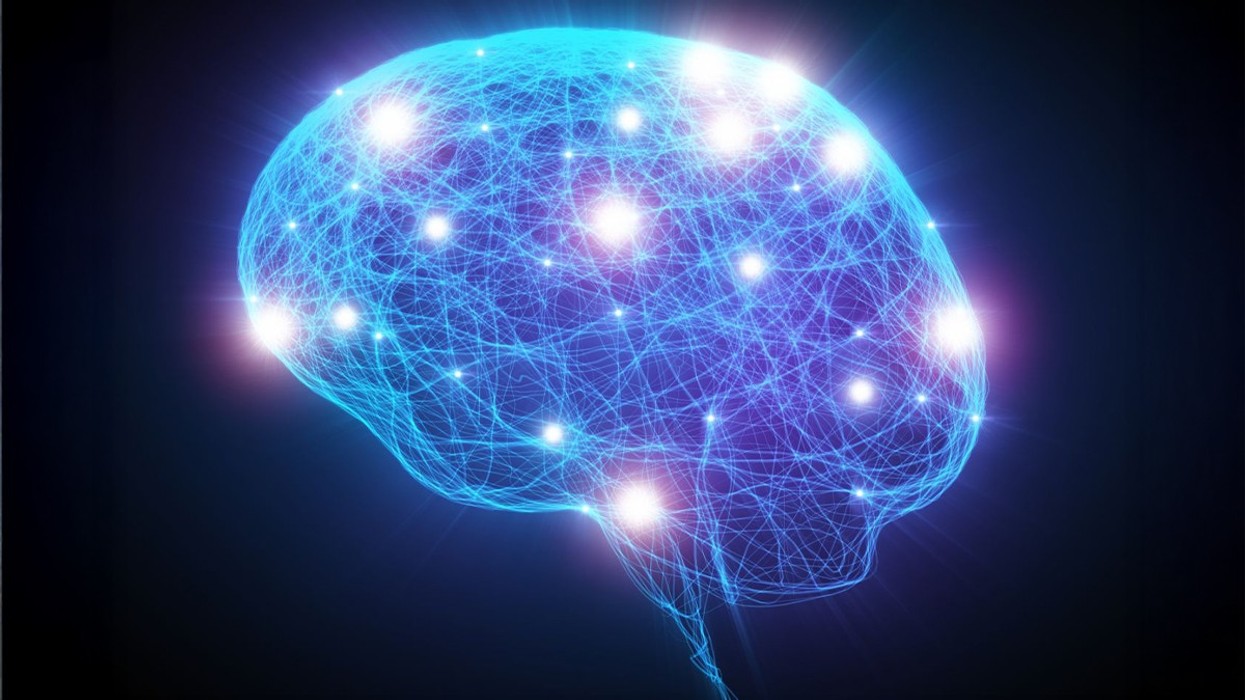 Scientists find a way to 'truly reverse' normal, age-related memory ...