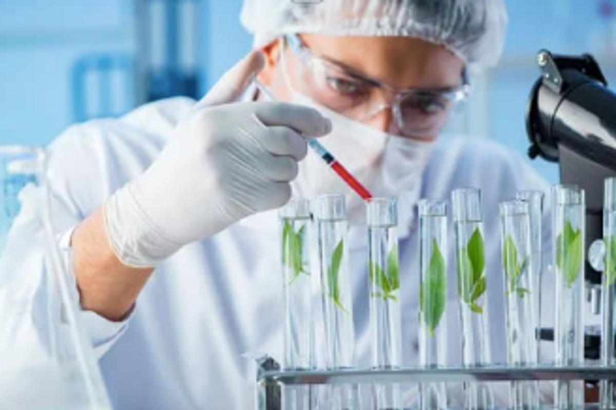 Scientist, sense of distance, sense of direction, University of St. Andrews