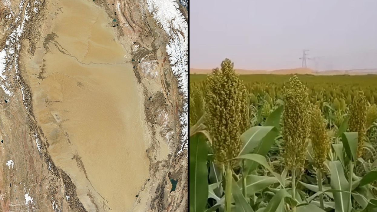 shrubland, grassland, Tarim Basin, China,Taklimikan Desert, pollution, environment, forest