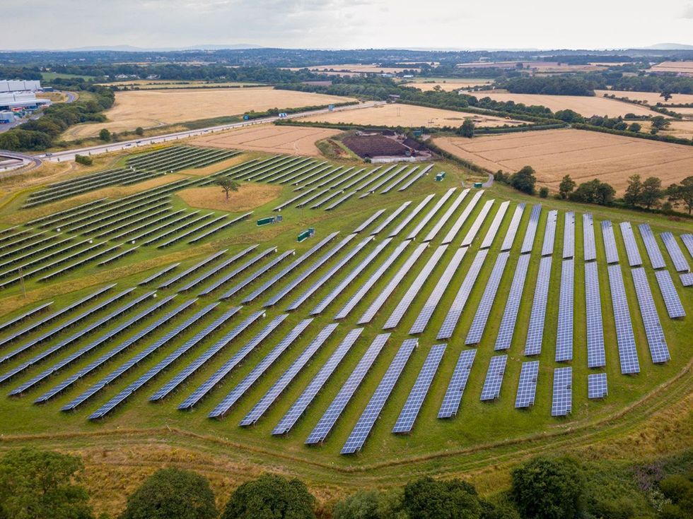 solar farm, source of energy, sunshine, wildlife, Germany, vegetation, insects, hectare, animal waste
