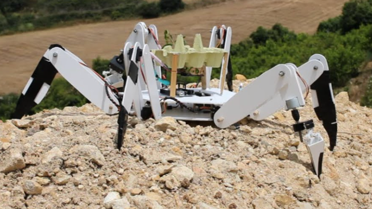 spider robot, reforestation, climate change, wildfires, portugal