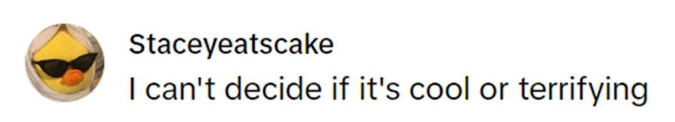 @staceyeatscake (Image Source: TikTok)