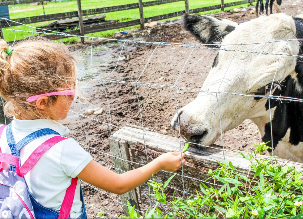 teacher stories, Reddit, malicious compliance, workplace drama, school funding, teacher appreciation, viral stories, petty revenge