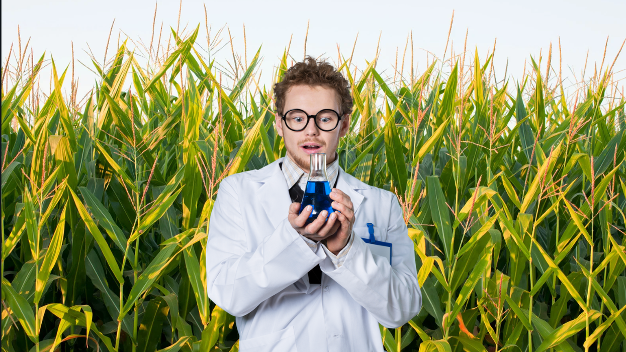 teen science discovery, antiviral drug, corn husk, scientific breakthrough, teenager scientist