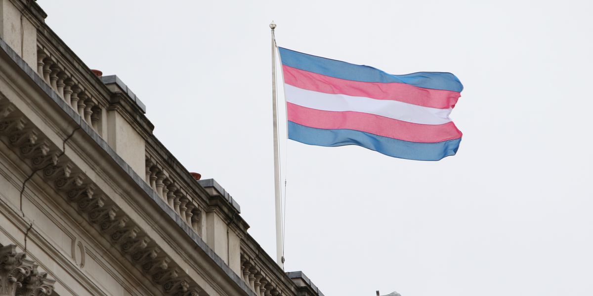 Environmental activists made a massive statement of transgender support on one of America's natural wonders