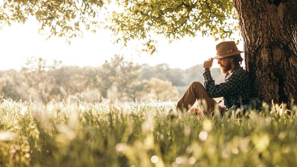 tree, shade, community, planting trees, loving, safety, connection
