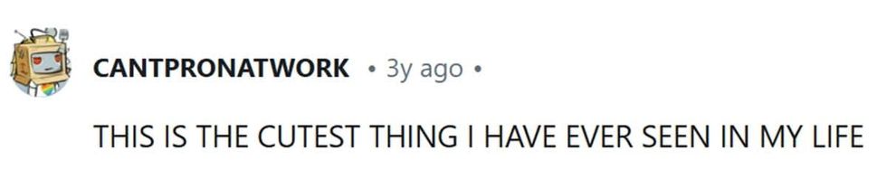 u/cantpronatwork (Image Source: Reddit)
