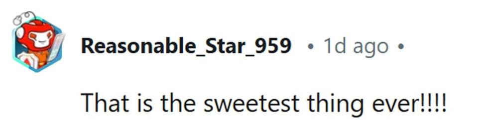 u/reasonable_star_959 (Image Source: Reddit)