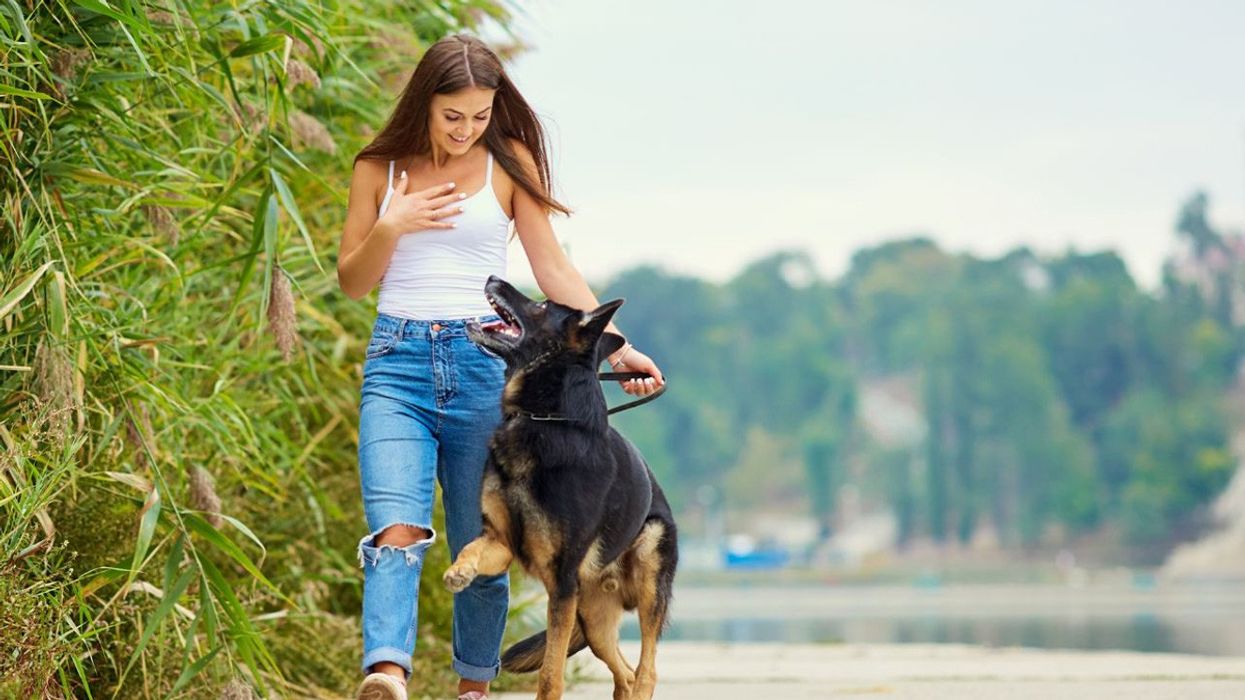 walking, joint health, stress management, cardiovascular fitness, longevity, healthy aging, wellness